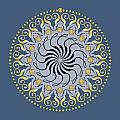 Circularity No. 1032