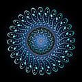 Complexical No 1893